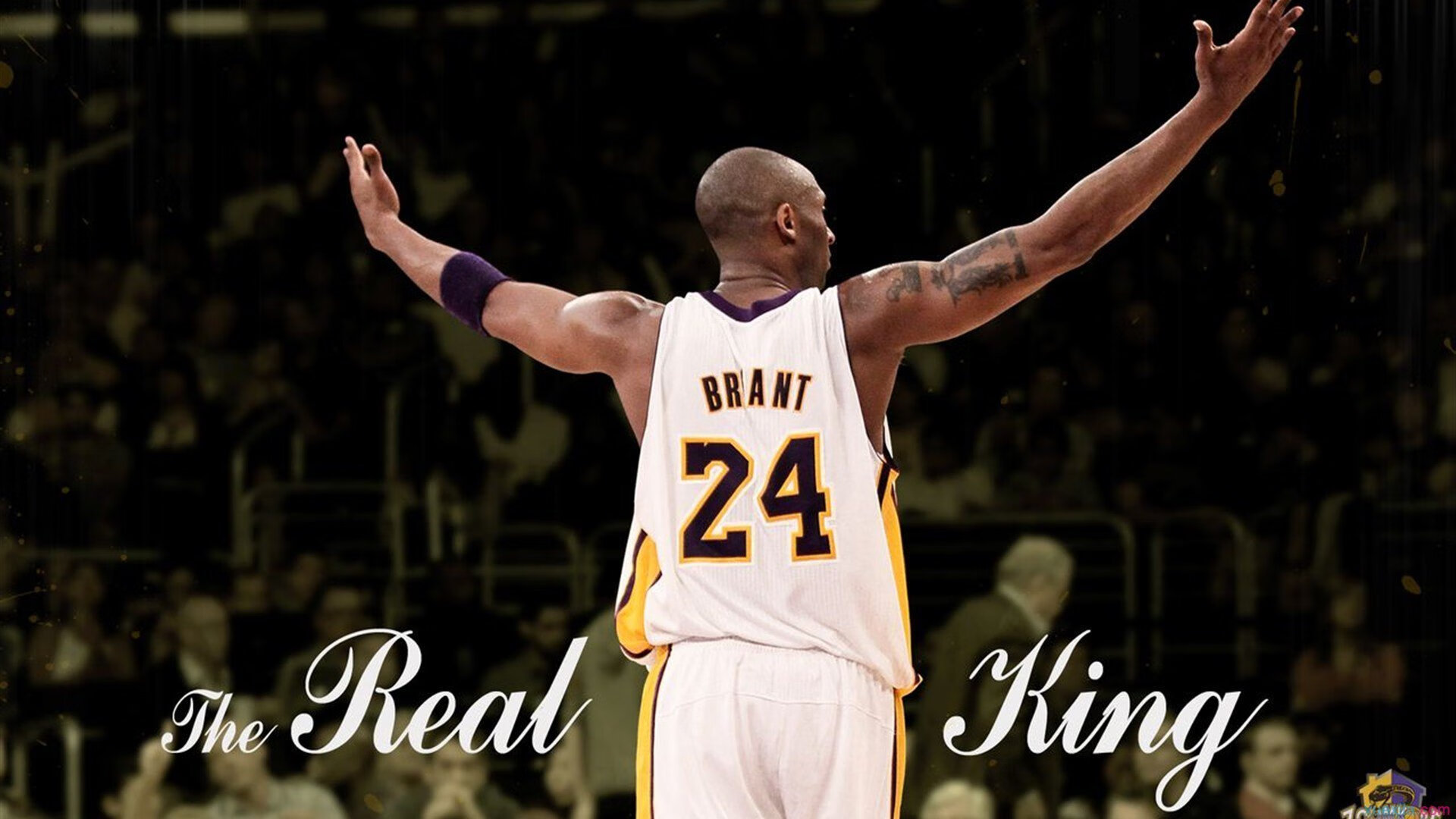 “霍斯特助力南非羚羊队稳守阵地,向世界冠军迈进”